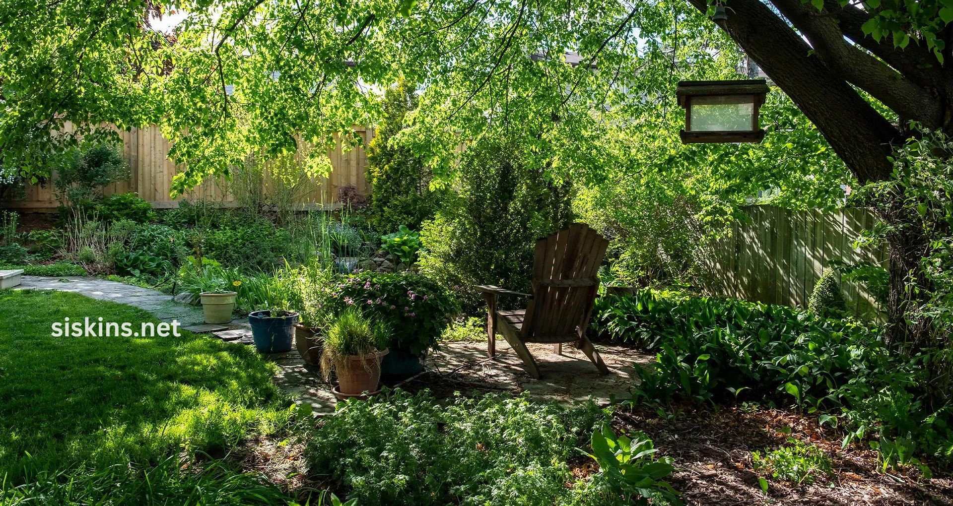 Making Your Garden Bird-Friendly