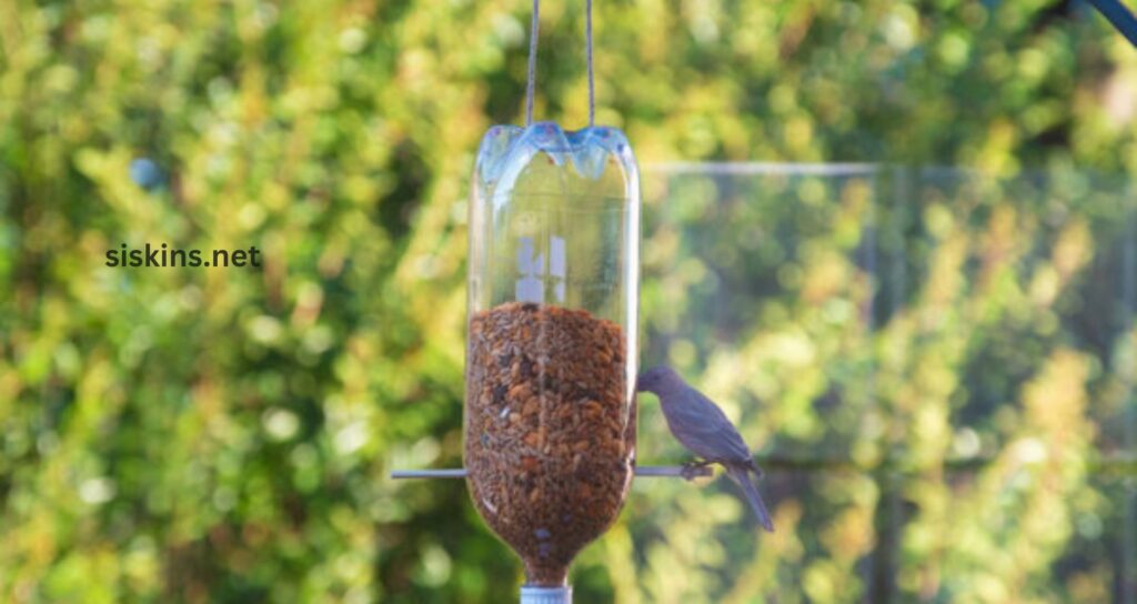 How do I make a DIY bird feeder from recycled materials?