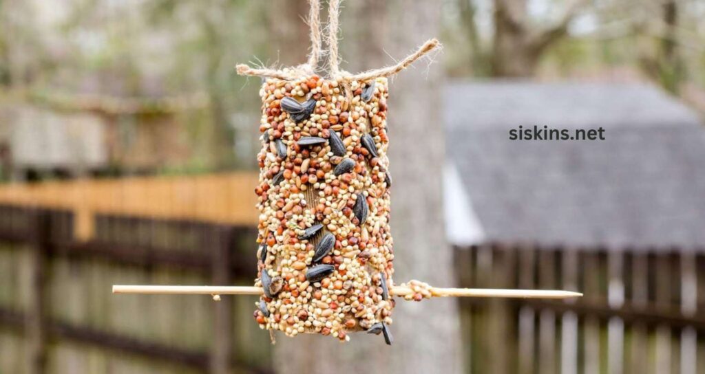 How do I make a DIY bird feeder from recycled materials?