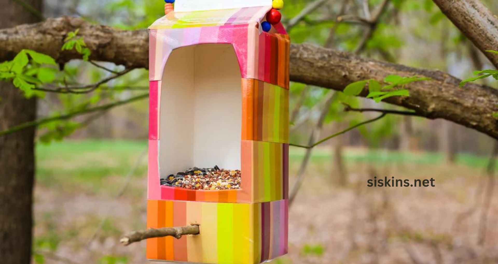 How do I make a DIY bird feeder from recycled materials?