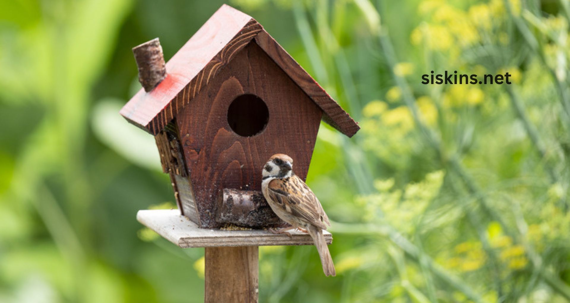 How do I pick a good birdhouse for my garden?