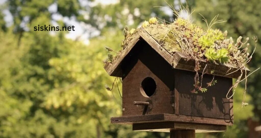 What is the easiest way to build a birdhouse?