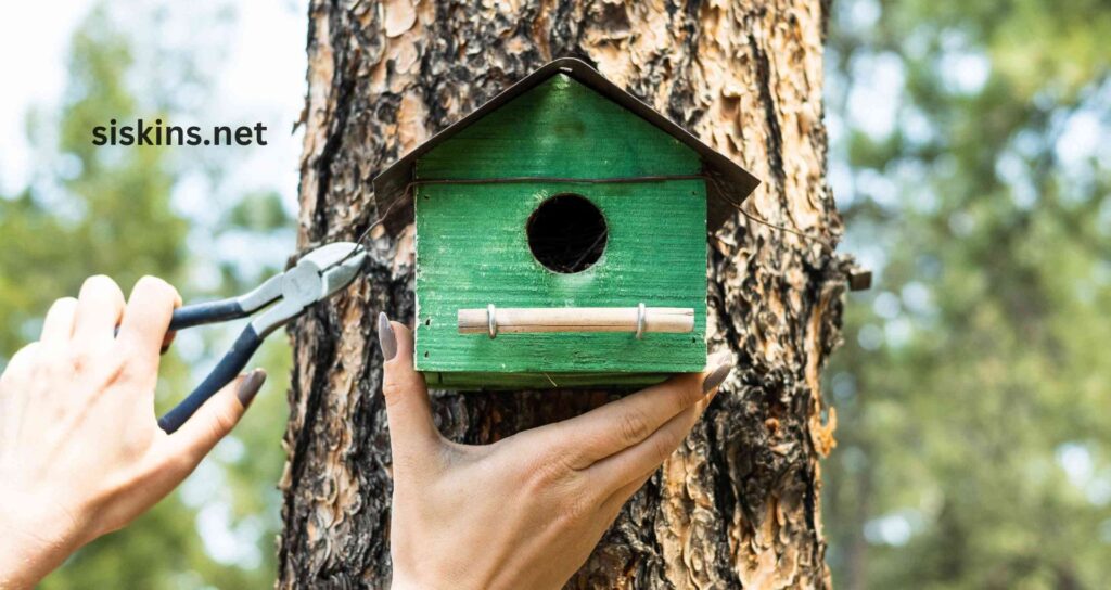 What is the easiest way to build a birdhouse?