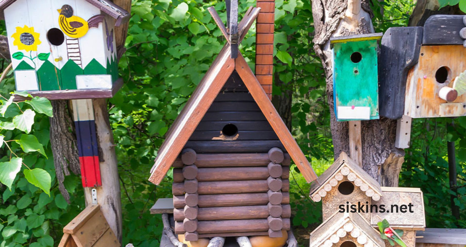 How do I Pick a Good Birdhouse for My Garden?